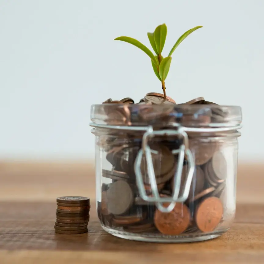 Plante dans un bocal en verre rempli de pièces de monnaie